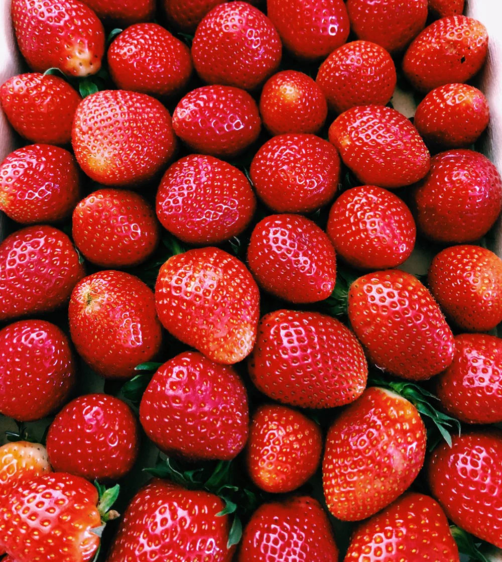 MR. STRAWBERRY | Dried Strawberries 40 g
